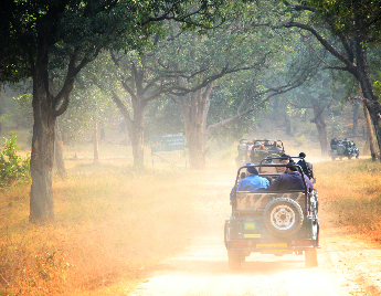 Magical Manali Volvo Package