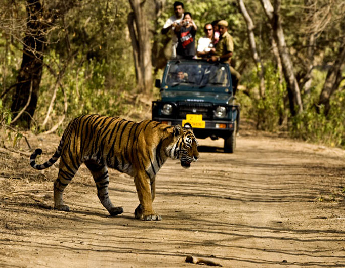 Thrilling Leh Ladakh Bike Tour With Camping