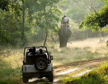 Manali Leh Srinagar Bike Trip