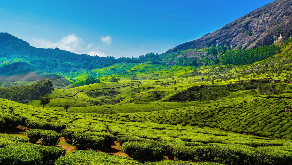 Scenic Kerala Holiday Package