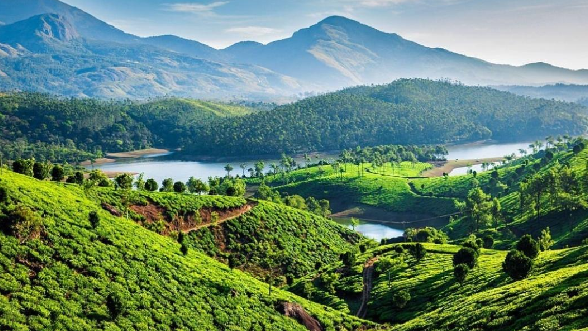 A Pleasant Tour In Munnar