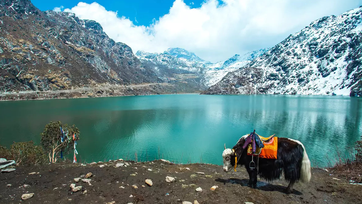Sikkim Darjeeling Gangtok Trip Package 