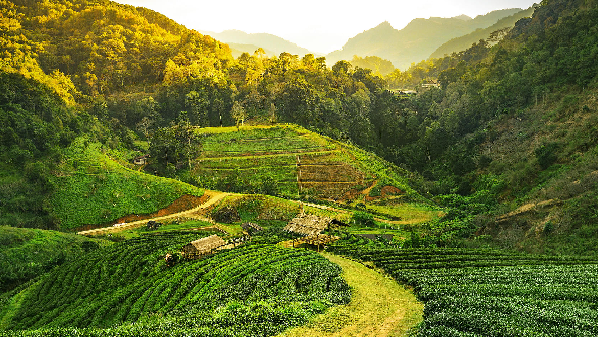 Delightful Assam Tourism Package 