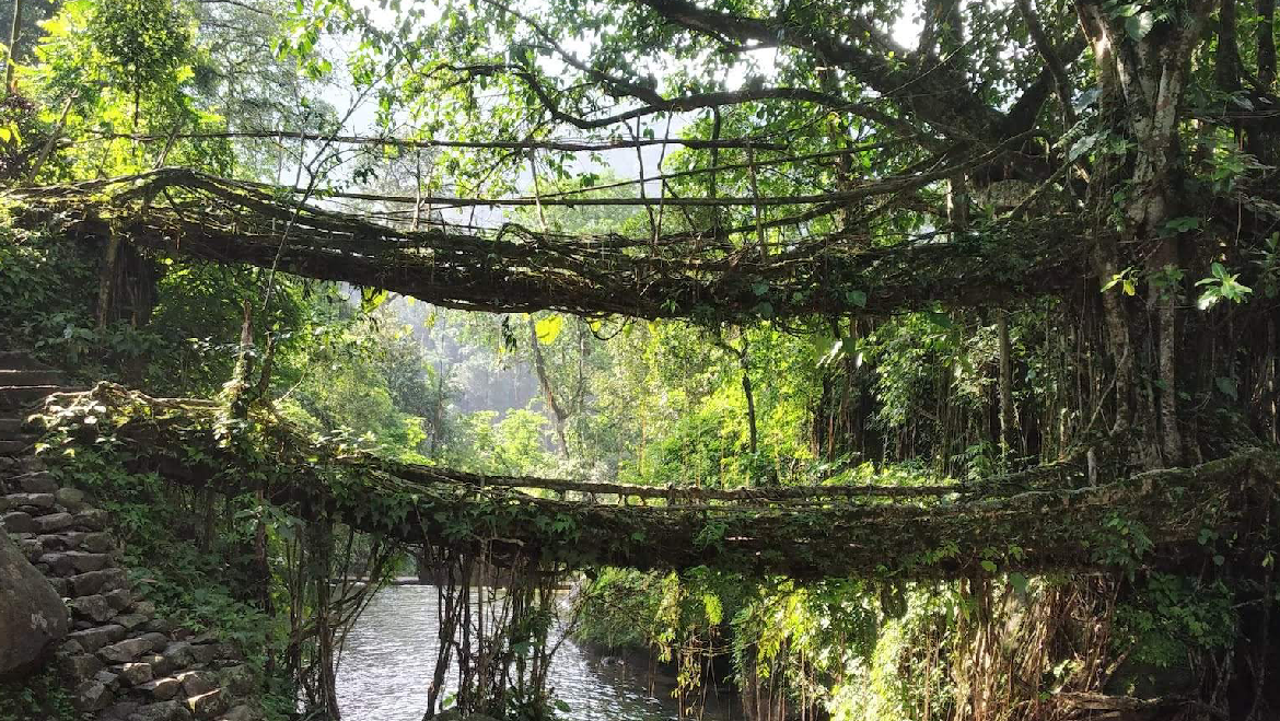 Mesmerizing Meghalaya Tour Package 