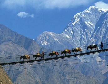 Dharamshal Tour Package