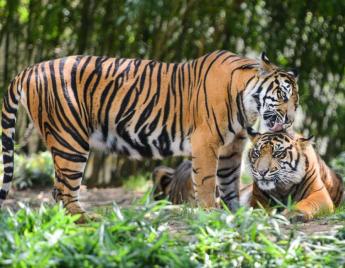Lahaul Spiti Chandrataal