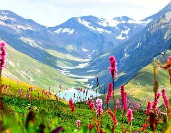 Incredible Shimla Manali Tour Package