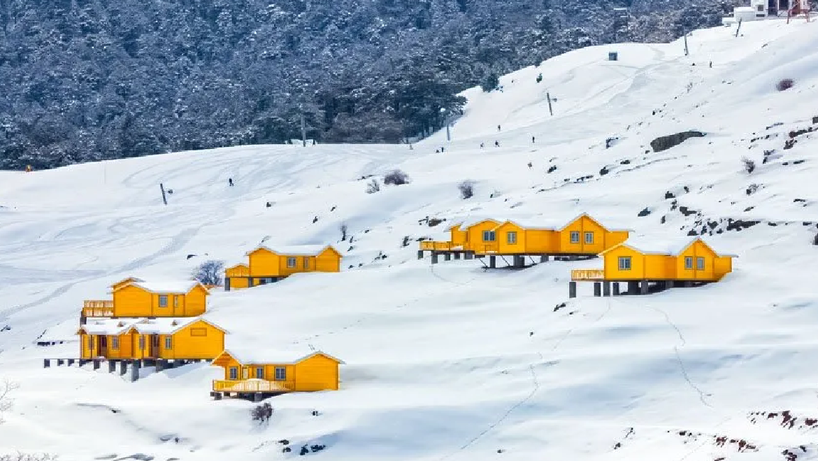 Stunning Auli Tour Package 