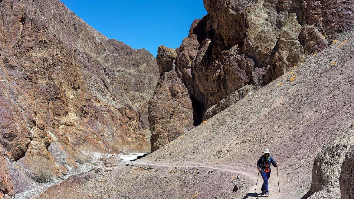 Snow Leopard Trek