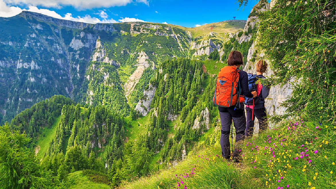 Valley of Flower Trek