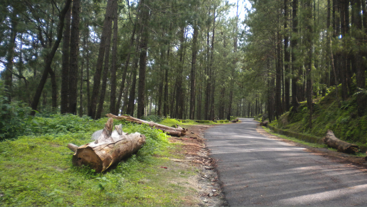 Mesmerising Lansdowne Tour Package 