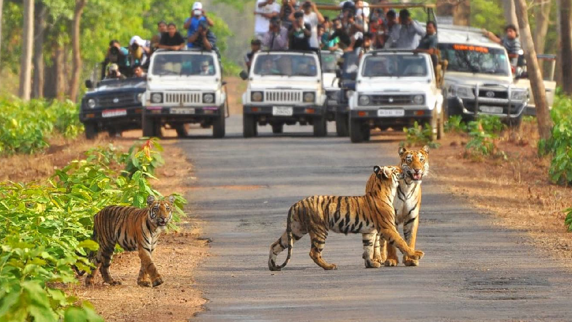Jim Corbett Wilderness Tour Package  